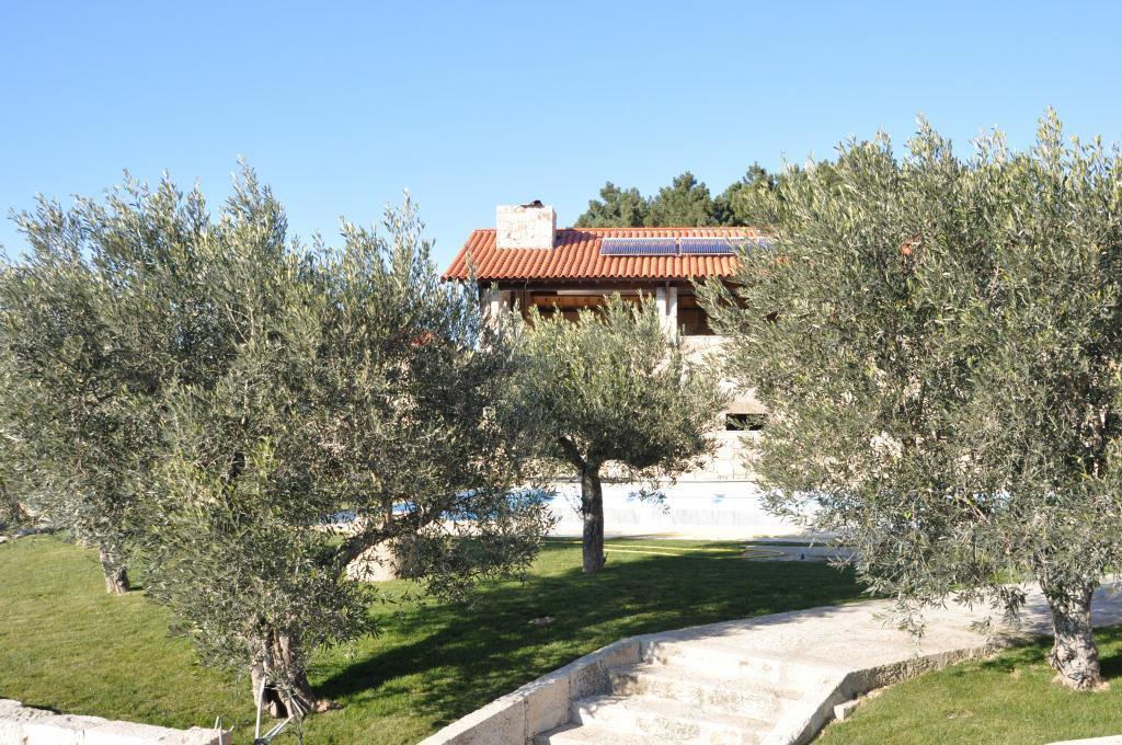 Quinta Do Olival Guest House Vilas Boas  Exterior photo