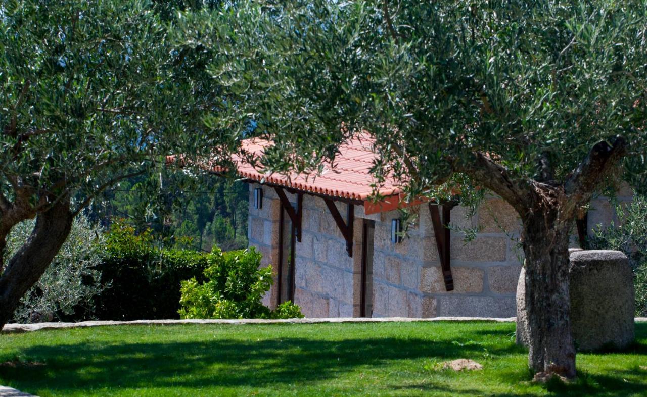 Quinta Do Olival Guest House Vilas Boas  Exterior photo